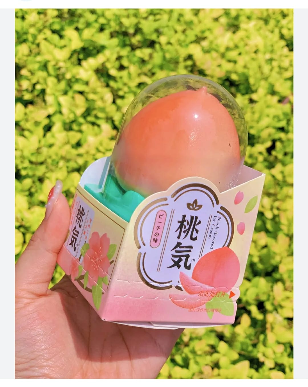 Taoqi Peach Flavor Ice Cream - 75G